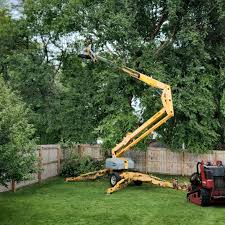 Trumann, AR  Tree Services Company